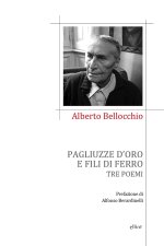 Pagliuzze d'oro e fili di ferro. Tra poemi