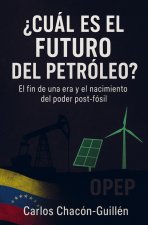 ¿Cuál es el futuro del petróleo?
