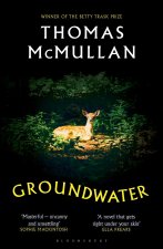 Groundwater