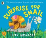 Surprise for Snail