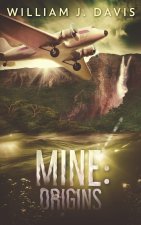Mine
