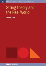 String Theory and the Real World