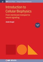 Introduction to Cellular Biophysics, Volume 2