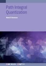 Path Integral Quantization