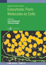 Exocytosis