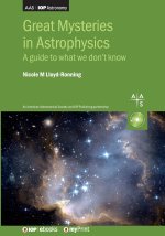 Great Mysteries in Astrophysics