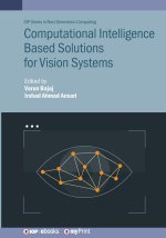 Computational Intelligence Based Solutions for Vision Systems