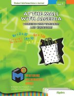 PM3 L4 At the Mall Algebra SMJ