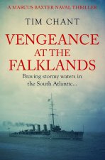 Vengeance at the Falklands