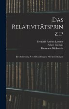 Das Relativitätsprinzip