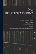 Das Relativitätsprinzip