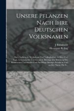 Unsere Pflanzen Nach Ihre Deutschen Volksnamen