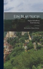 Ein Blaubuch
