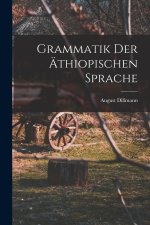 Grammatik der äthiopischen Sprache