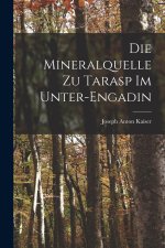 Die Mineralquelle zu Tarasp im Unter-Engadin