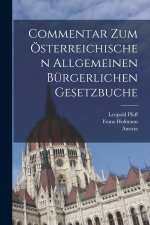 Commentar zum österreichischen allgemeinen bürgerlichen Gesetzbuche