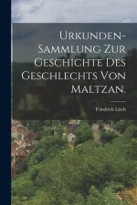 Urkunden-Sammlung zur Geschichte des Geschlechts von Maltzan.