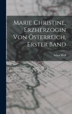 Marie Christine, Erzherzogin von Österreich, Erster Band