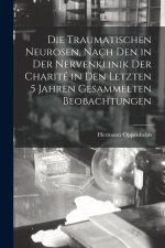Die Traumatischen Neurosen, Nach Den in Der Nervenklinik Der Charité in Den Letzten 5 Jahren Gesammelten Beobachtungen