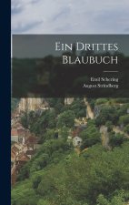 Ein Drittes Blaubuch