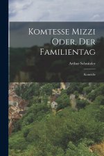 Komtesse Mizzi oder, Der Familientag