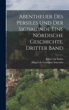 Abentheuer des Persiles und der Sigismunde eine nordische Geschichte, Dritter Band