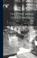 Die Fünf Sinne Des Menschen