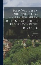 Mein Weltleben oder wie es dem Waldbauernbuben bei den Stadtleuten erging von Peter Rosegger.