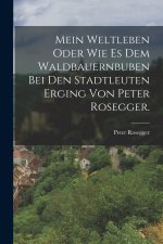 Mein Weltleben oder wie es dem Waldbauernbuben bei den Stadtleuten erging von Peter Rosegger.