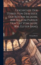 Geschichte Der Türkei Von Dem Siege Der Reform Im Jahre 1826 Bis Zum Pariser Tractat Vom Jahre 1856, Elfter Band