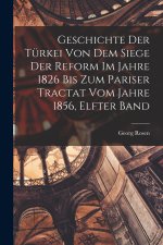 Geschichte Der Türkei Von Dem Siege Der Reform Im Jahre 1826 Bis Zum Pariser Tractat Vom Jahre 1856, Elfter Band