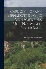 Carl XIV. (Johann Bernadotte) König von Schweden und Norwegen, erster Band