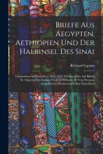 Briefe Aus Aegypten, Aethiopien Und Der Halbinsel Des Sinai