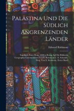 Palästina Und Die Südlich Angrenzenden Länder