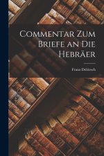Commentar zum Briefe an die Hebräer
