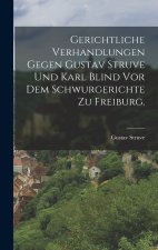 Gerichtliche Verhandlungen gegen Gustav Struve und Karl Blind vor dem Schwurgerichte zu Freiburg.