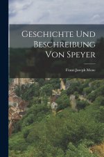 Geschichte Und Beschreibung Von Speyer