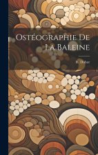 Ostéographie de La Baleine