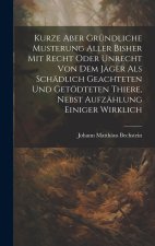 Kurze Aber Gründliche Musterung Aller Bisher Mit Recht Oder Unrecht Von Dem Jäger Als Schädlich Geachteten Und Getödteten Thiere, Nebst Aufzählung Ein