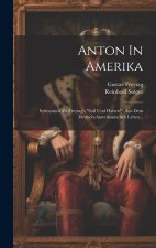 Anton In Amerika