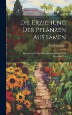 Die Erziehung der Pflanzen aus Samen