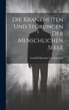 Die Krankheiten und Störungen der menschlichen Seele