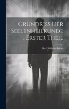 Grundriss der Seelenheilkunde, Erster Theil