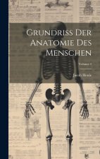Grundriss Der Anatomie Des Menschen; Volume 2