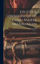 Ein Stück Lebensgeschichte und andere Erzählungen