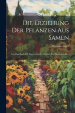 Die Erziehung der Pflanzen aus Samen