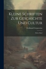 Kleine Schriften zur Geschichte und Cultur
