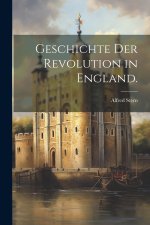 Geschichte der Revolution in England.