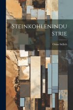Steinkohlenindustrie