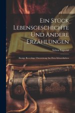 Ein Stück Lebensgeschichte und andere Erzählungen